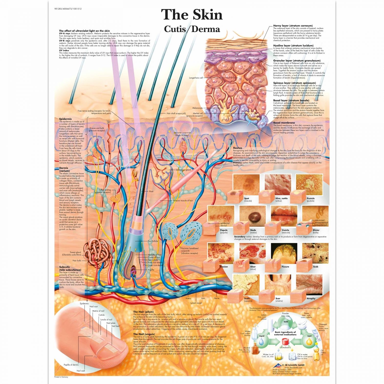 Wandplaat geplastificeerd The Skin - 50 x 67 cm