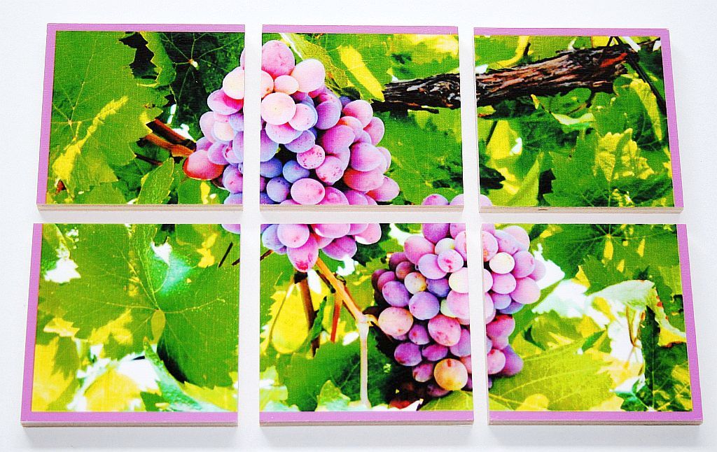 Houten puzzeldoos - fruit - 6 stukken